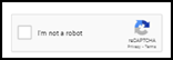 Imagen 2:  Encasillado de reCAPTCHA 